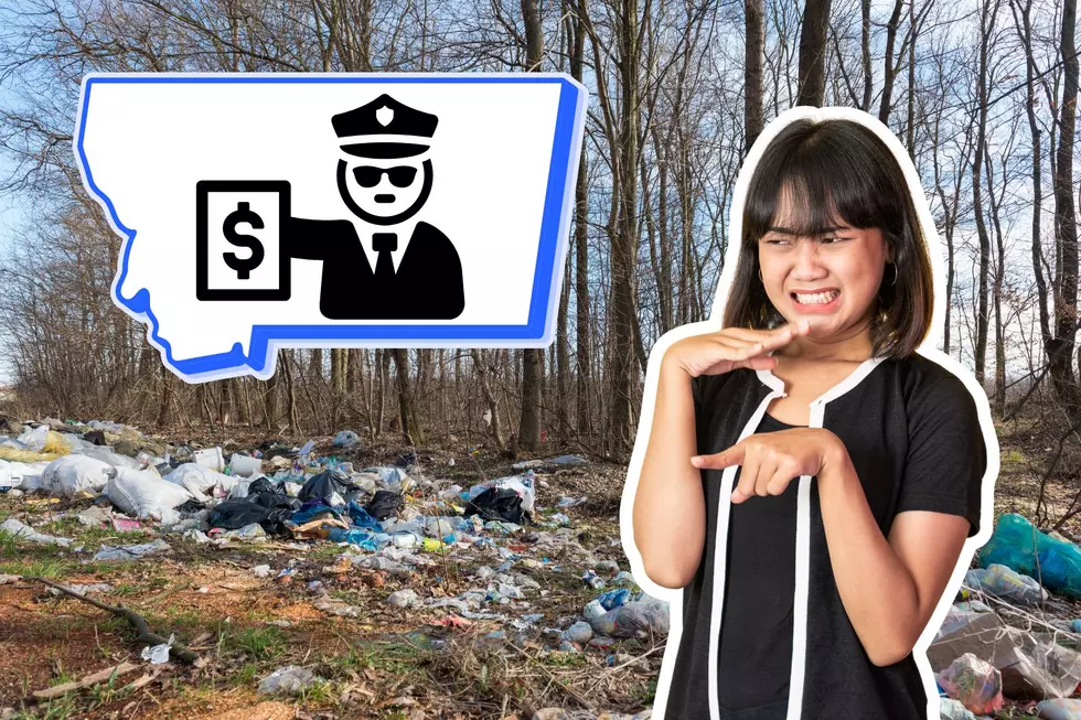 Illegally Dumping Garbage In Montana: What Is The Fine?