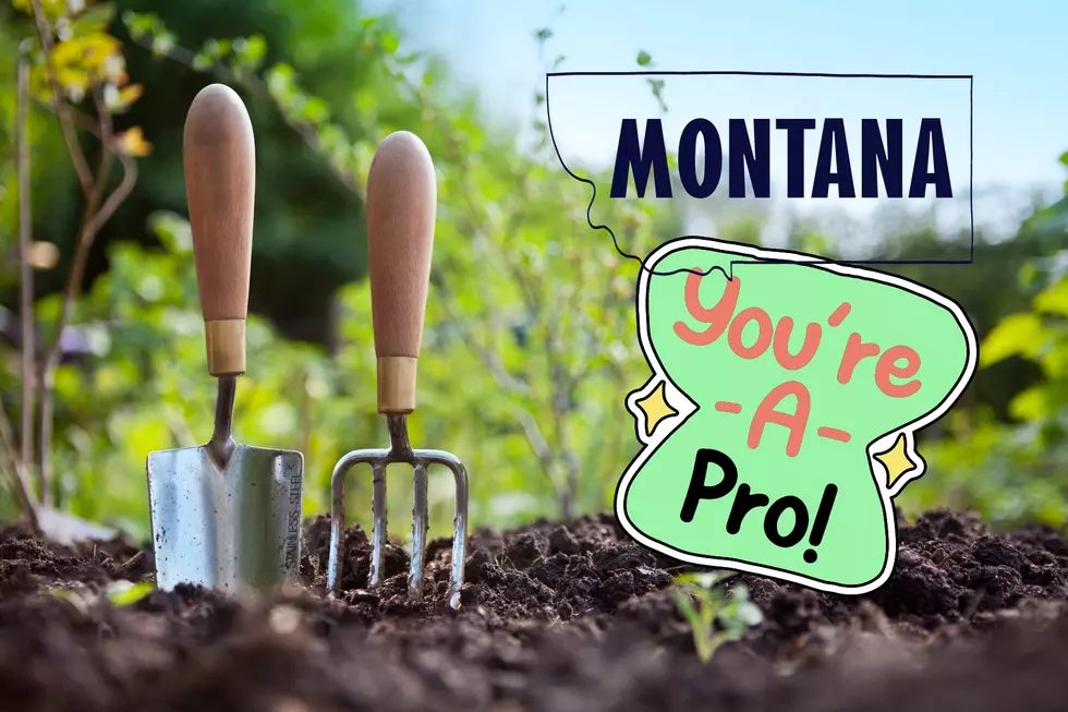 10 Vegetables That Will Actually Grow In Your Montana garden