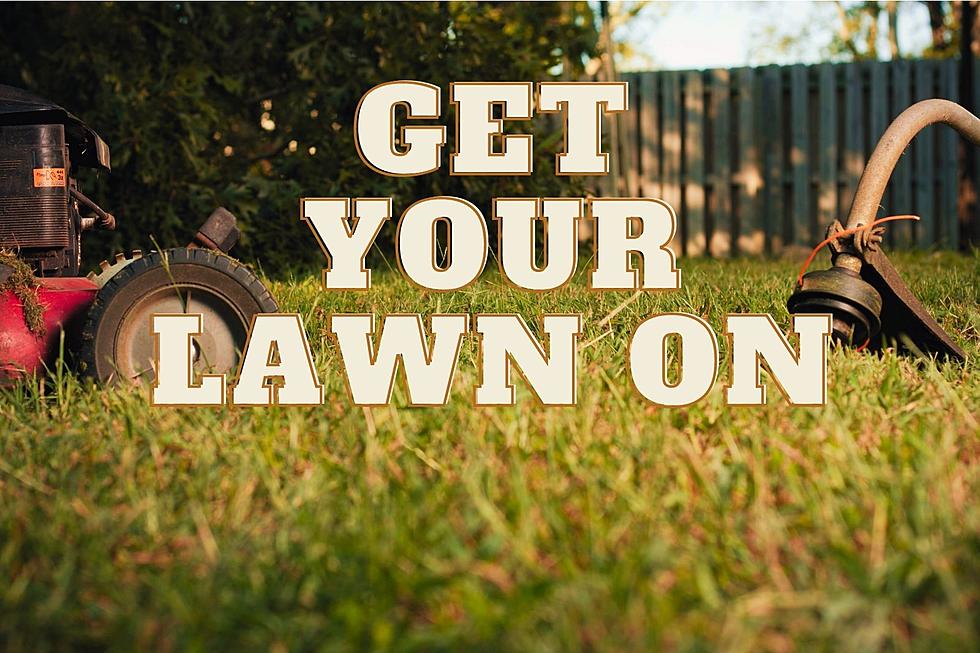 5 Easy Ways To Get Your Lawn In Shape In Great Falls, Montana
