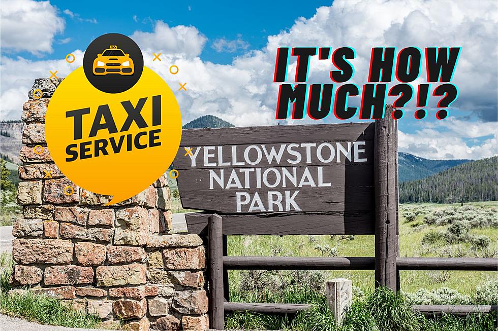 The Top 5 Luxury Car Tours Available in Yellowstone