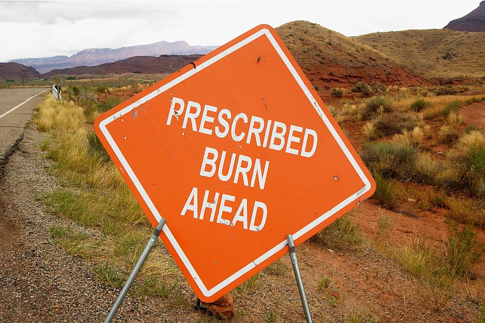 The 7 Things You Need To Know Regarding Fall Burning In Montana