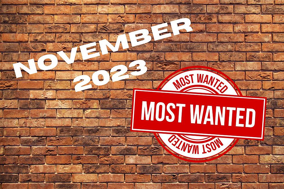 Great Falls & Cascade County Most Wanted for November 2023.