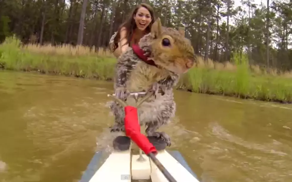 Brad Paisley’s New Video Features Everything, Including A Water Skiing Squirrel [VIDEO]