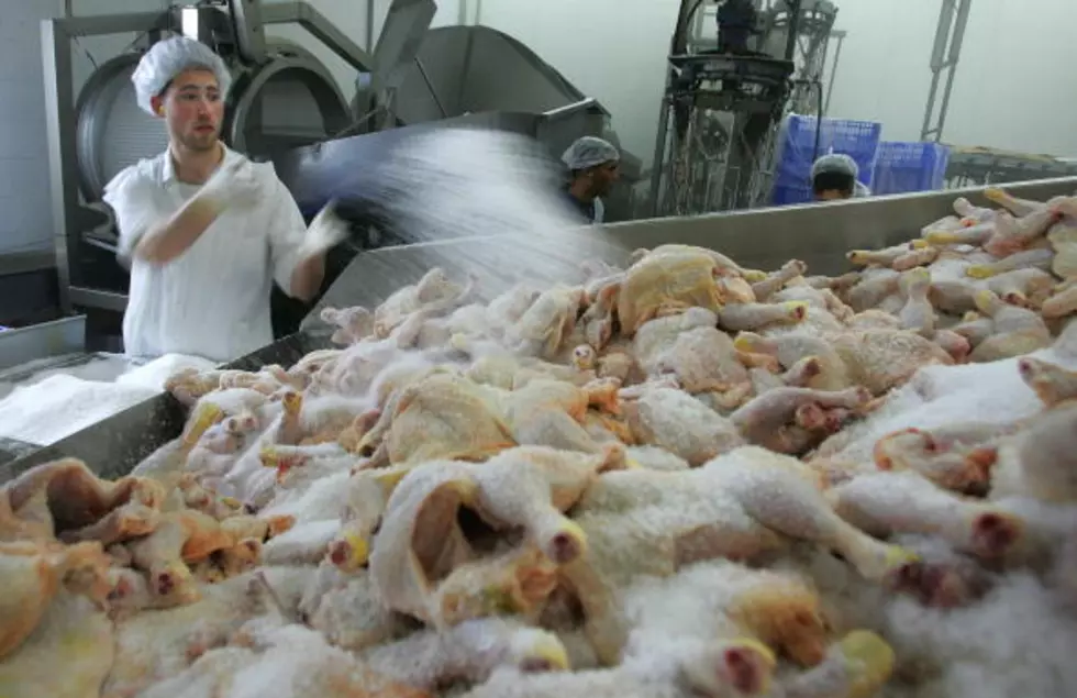 Minnesota Company Recalls 27 Tons of Poultry