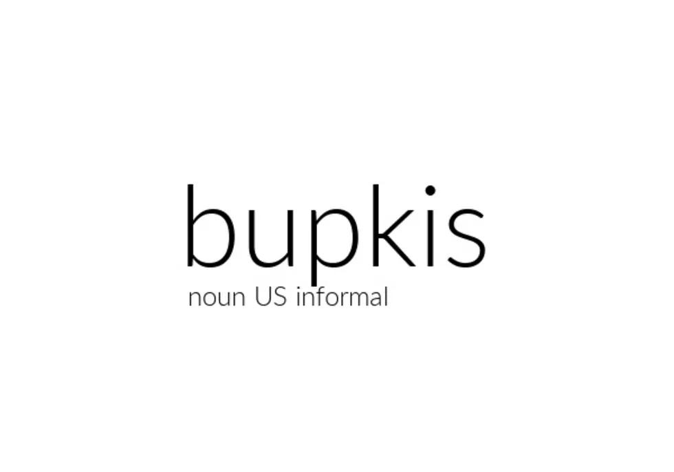 Bupkis. It’s a Word that Means Nothing!