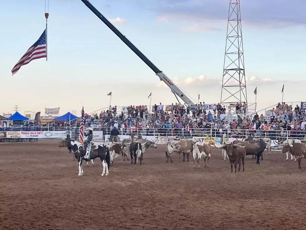Lawton Ranger&#8217;s Rodeo: More than Bulls and Broncs