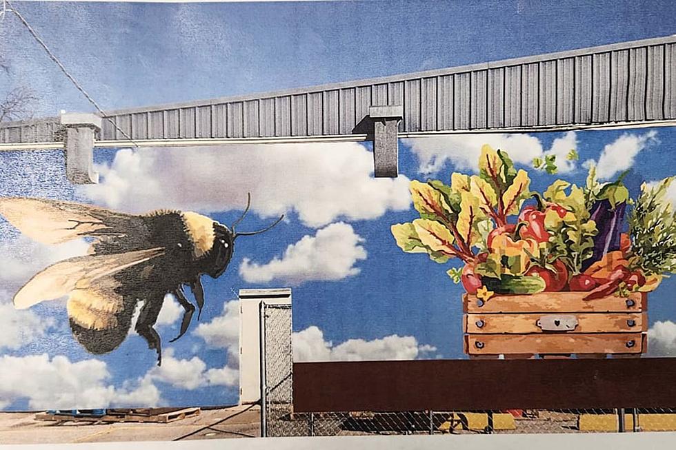 Nonprofit In Lawton, Oklahoma Seeking Donations For Community Garden Mural