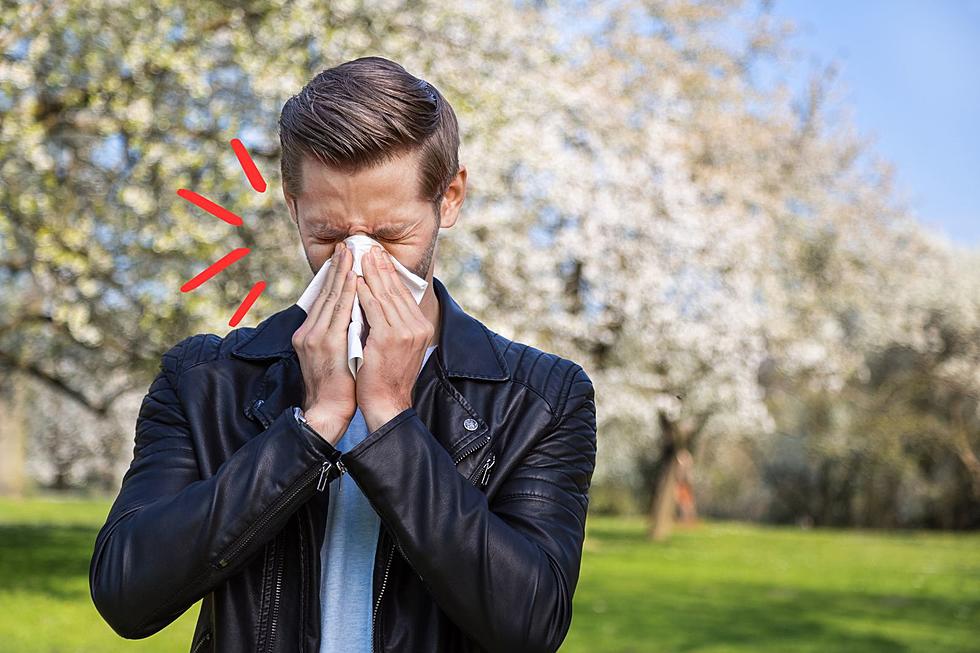 How To Prepare for Spring Allergies in Oklahoma