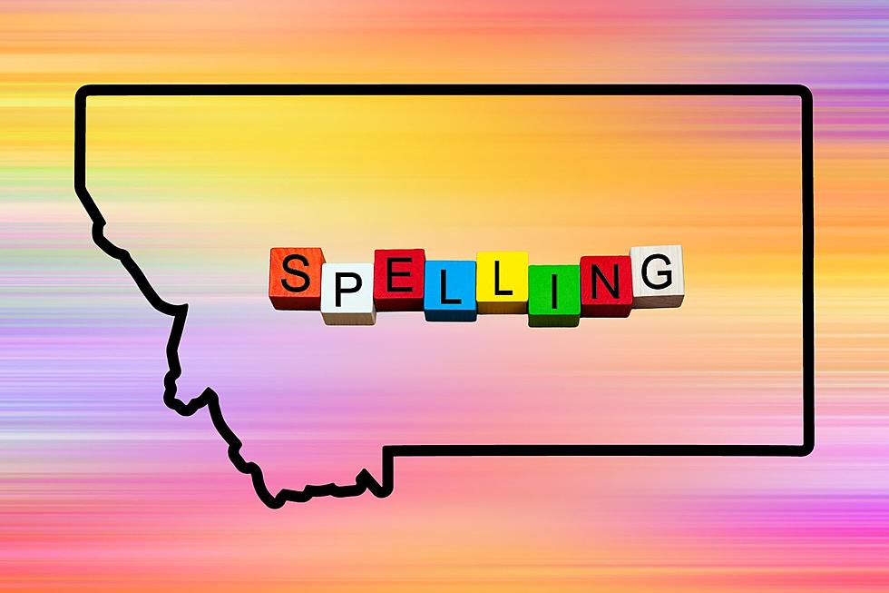 2023 Spelling Slip-Ups: Words Americans Just Can’t Get Right