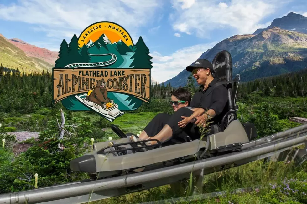 Spotlight On Fun: The Flathead Lake Alpine Coaster