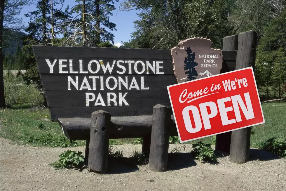 Yellowstone North Loop To Reopen Saturday
