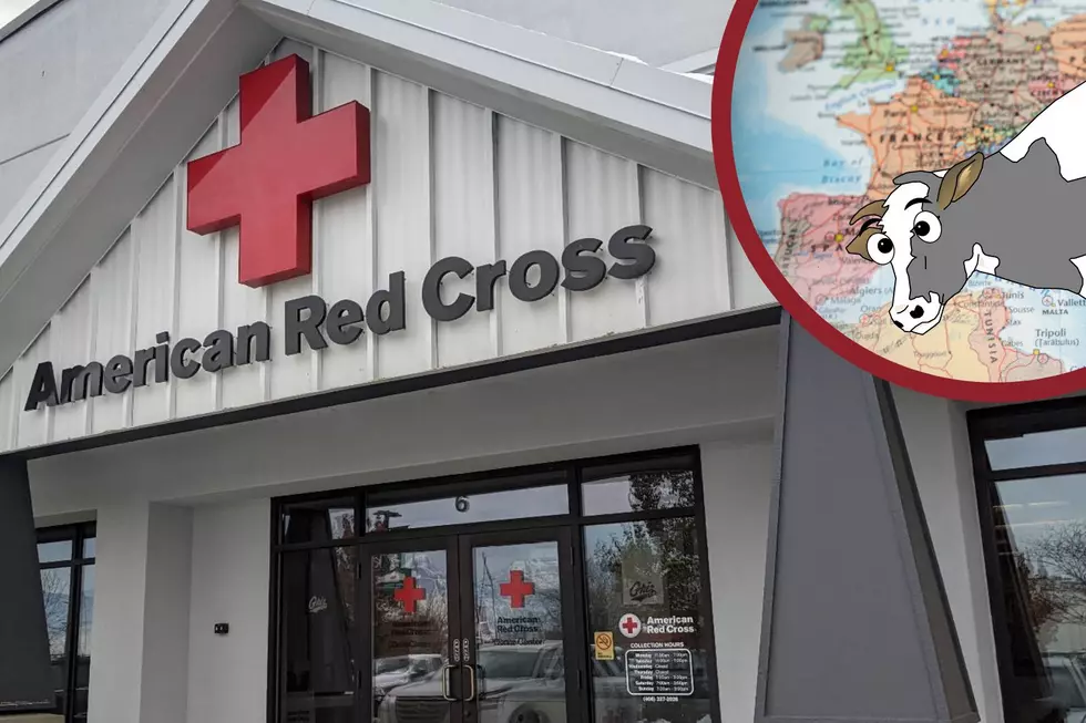 Red Cross Revises Mad Cow Policy, More Montana Residents Can Donate