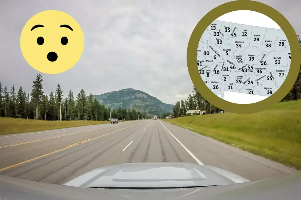 Montanan Updates Montana License Plates With Fascinating Graphic