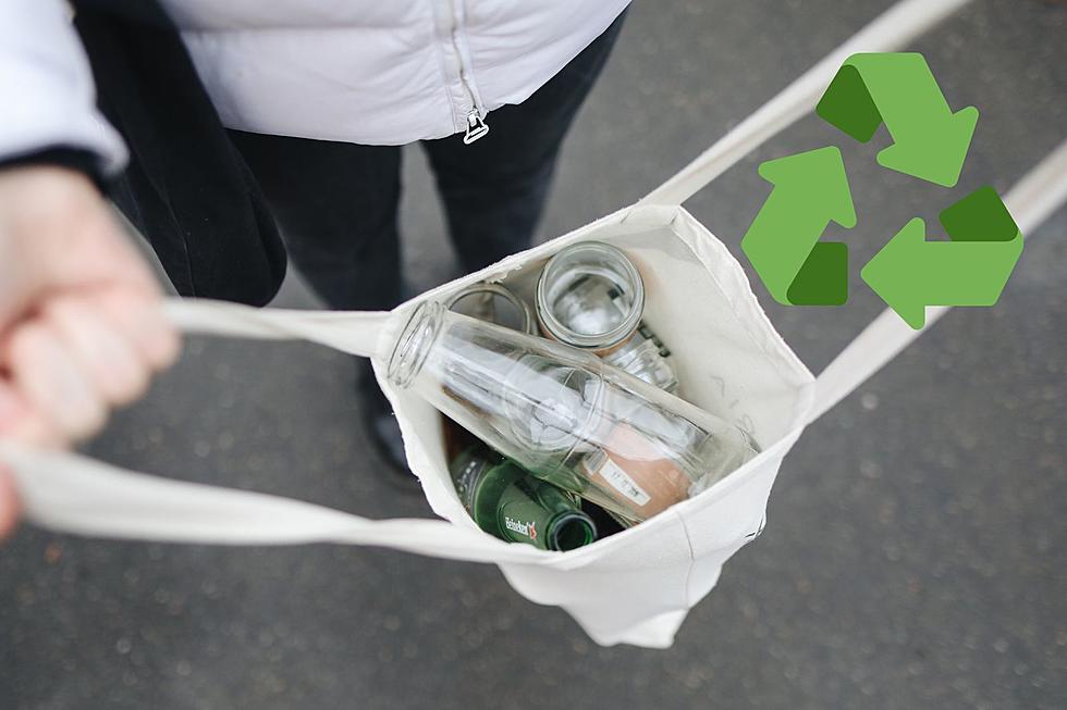 The Truth About Recycling In Missoula