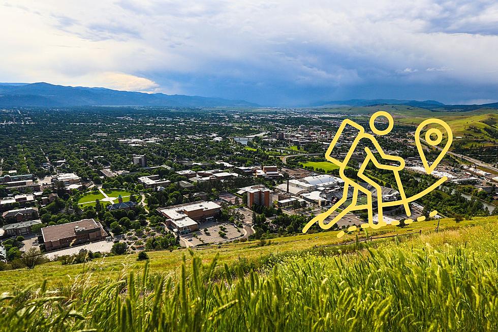 Easy Hikes Around Missoula for Just About Anybody