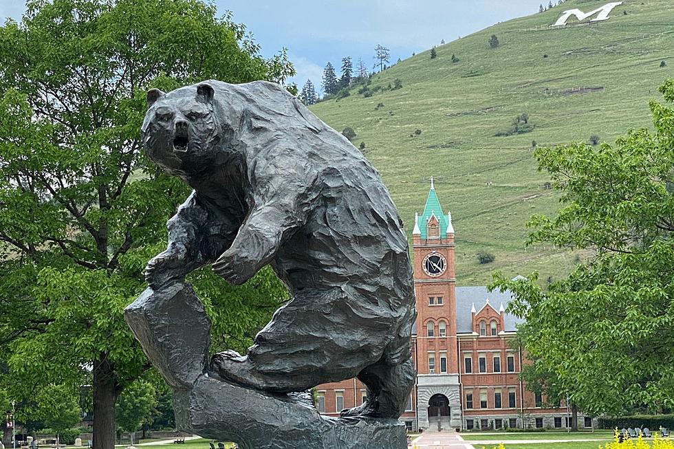 5 Courses that Should Be Taught at the University of Montana