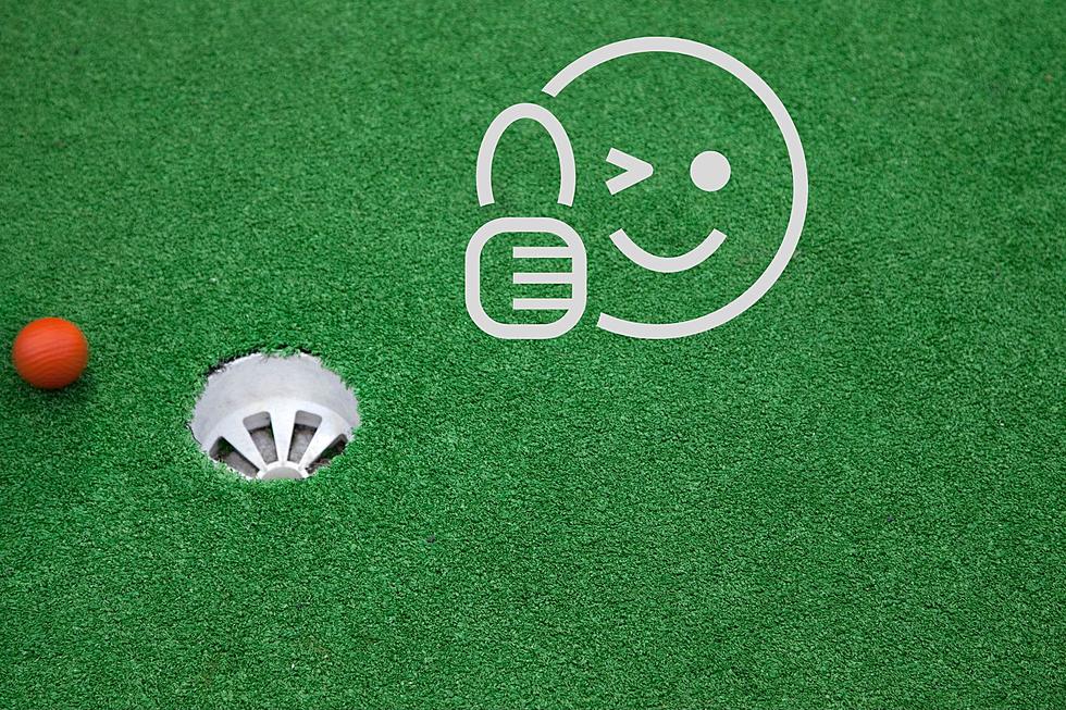 Missoula, Make Your Plans For Your Indoor Mini-Golf Parties