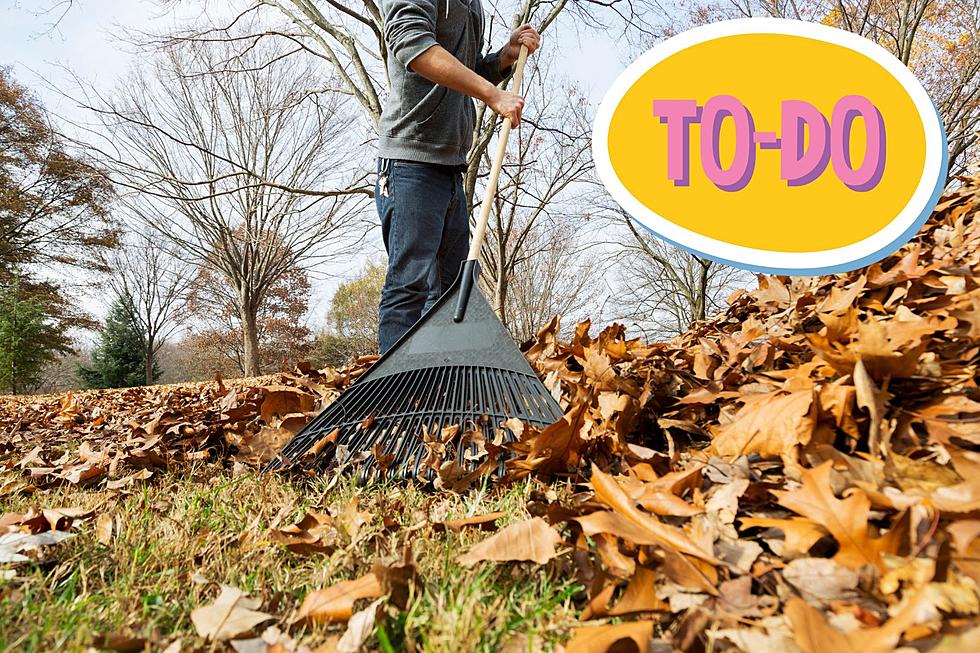 Missoulians May Have One Chore to Complete Before Raking Leaves