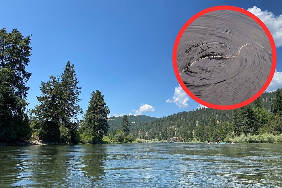 Montana's Most Snake Infested River