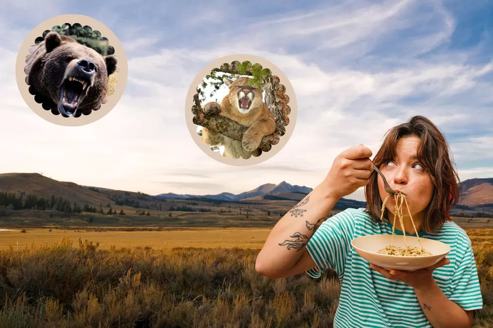 Wild Montana Foods That You Maybe Haven't Tried