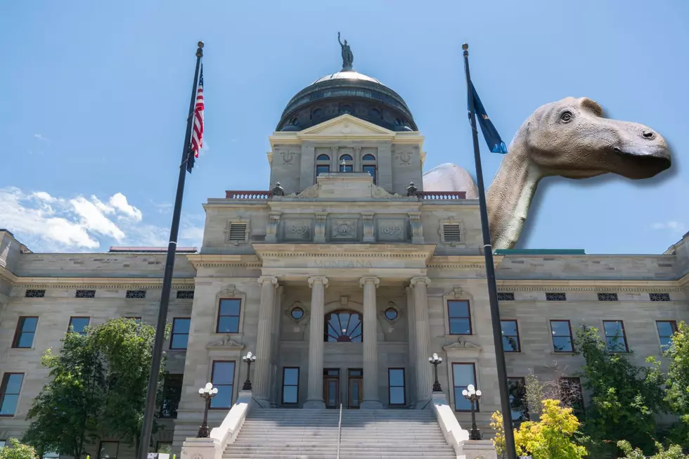 Montana's 'Official Dinosaur Fossil' 