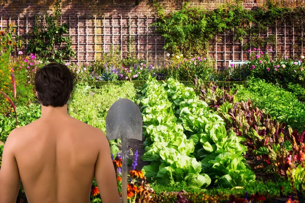 Can Montanans Join In The Unusual &#8216;World Naked Gardening Day&#8217;?