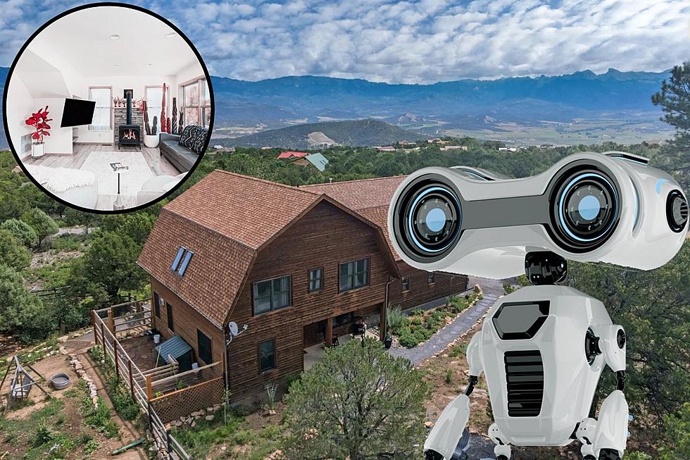 The House of the Future is For Sale in Ridgway Colorado