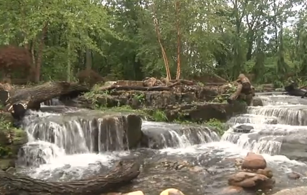 The Coolest Backyard Ever is Man-Made! [VIDEO]