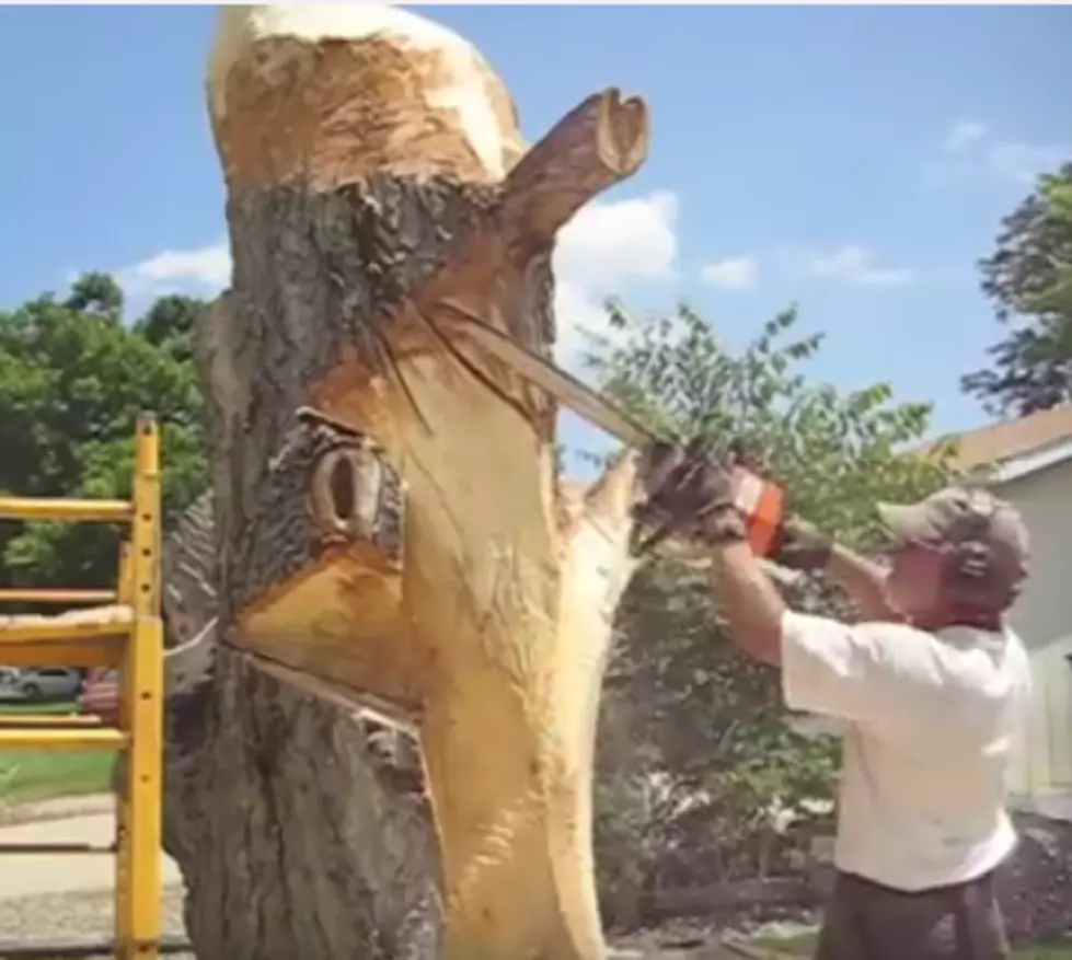 Chainsaw Artist Creates the Most Realistic Wildlife [VIDEO]
