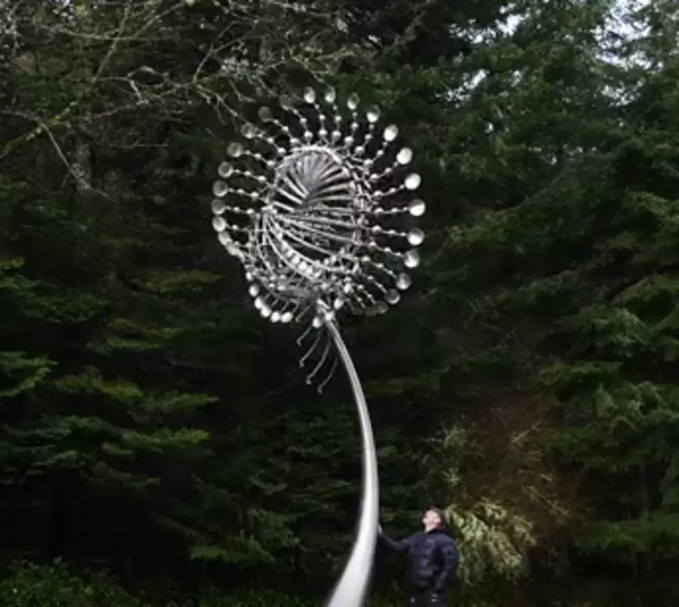 Washington Man Makes Amazing Wind Sculptures [VIDEO]
