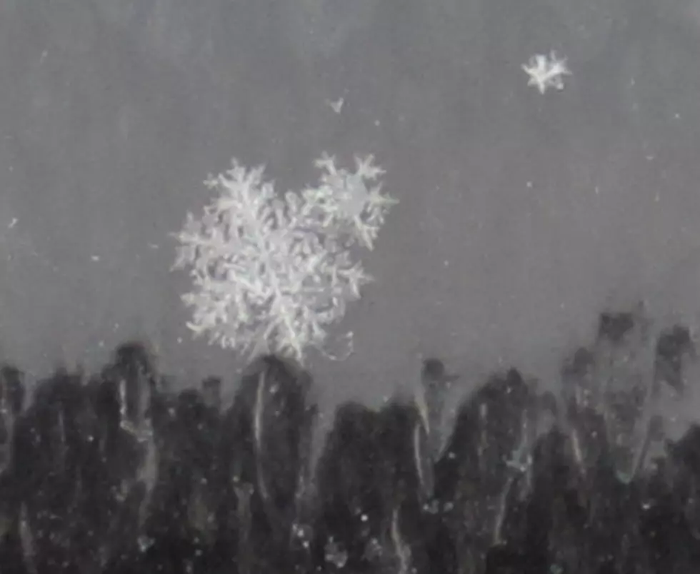 We&#8217;re Getting the Most Perfect Snowflakes!