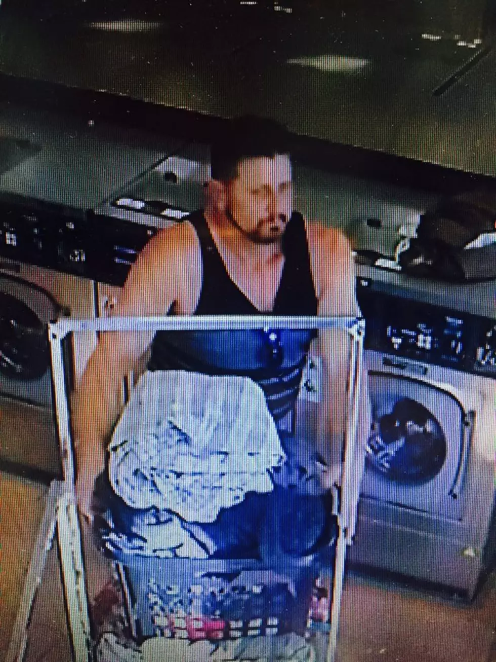 Laundry Cart Thief Is on the Loose! [PHOTOS]