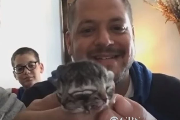 Cat with Two Faces Born in Portland [VIDEO]