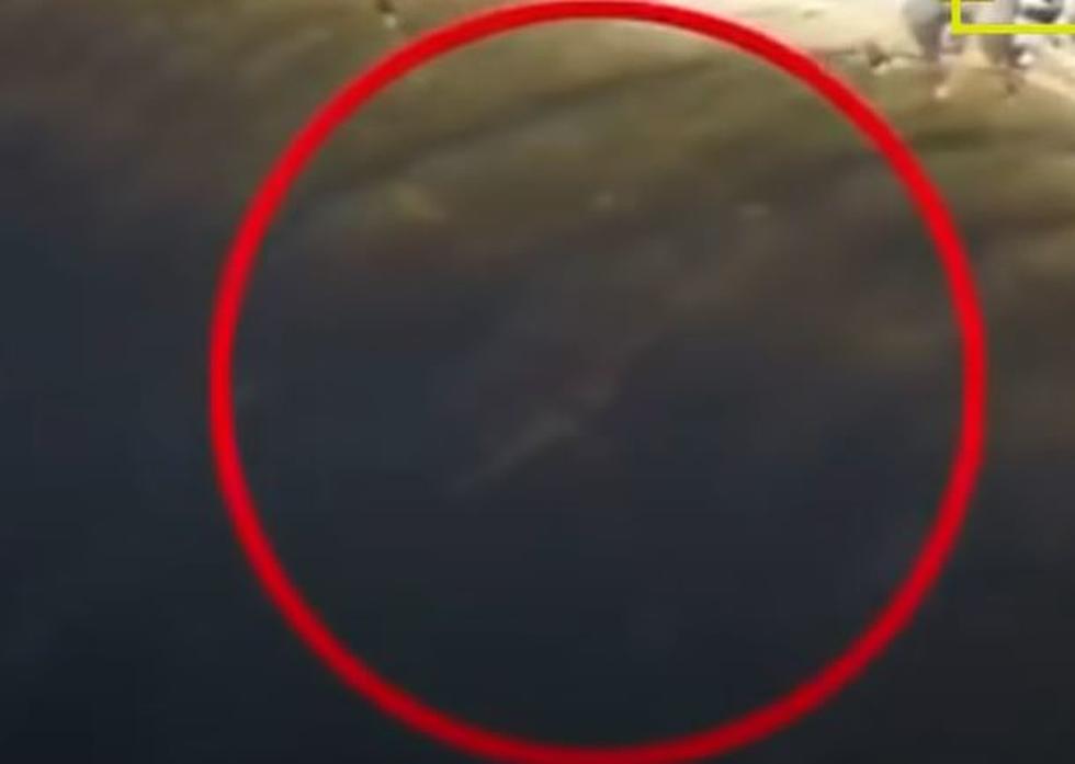 Loch Ness Monster Caught on Video By a True Skeptic [WATCH]