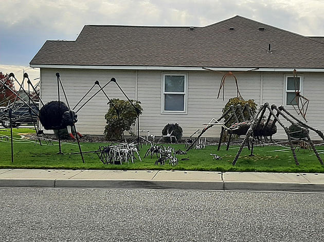 Giant Mutant Spiders Attack West Richland Home [PHOTOS]