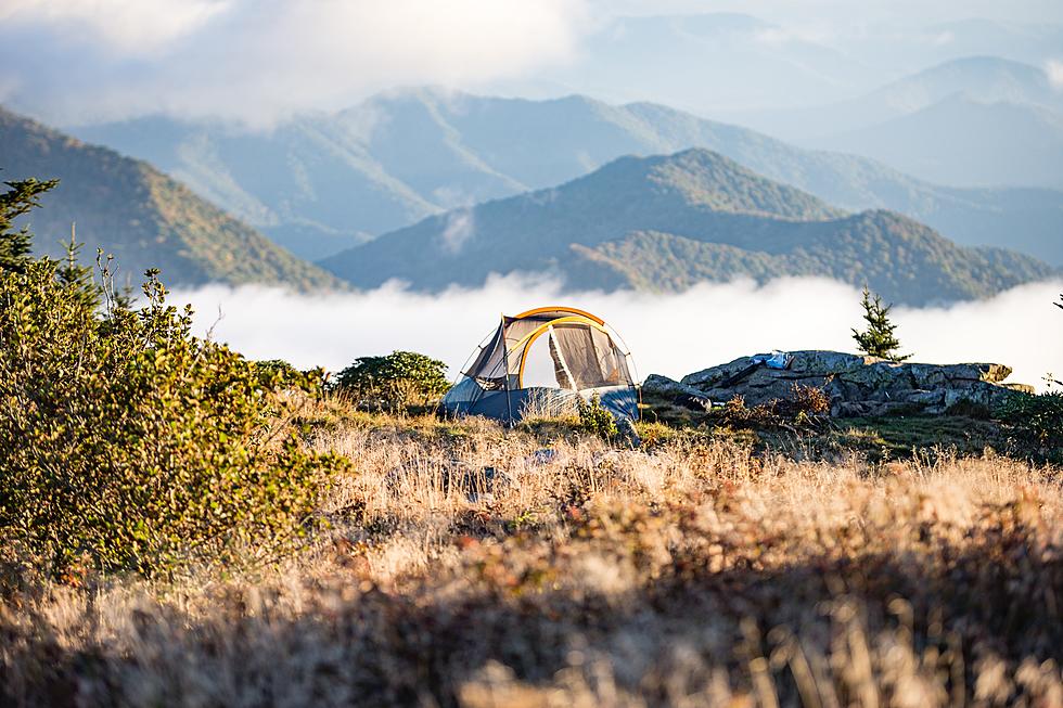5 Amazing Private Campsites Near Tri-Cities You Can Book for Next Season