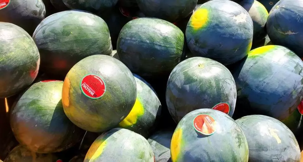 Where can You Find Walchli Melons?