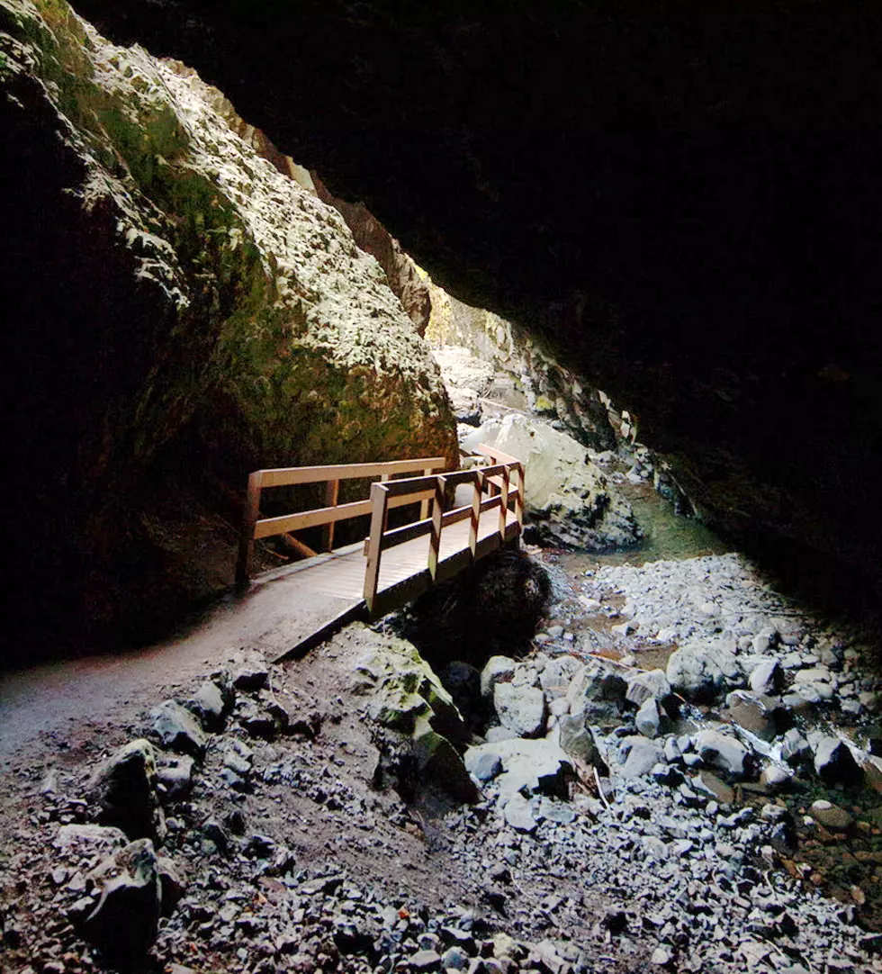 Hidden Cave Near Tri-Cities is a Favorite Day Trip Hike