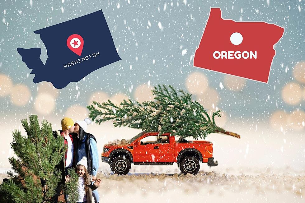 Finding the Perfect Christmas Tree in Washington and Oregon