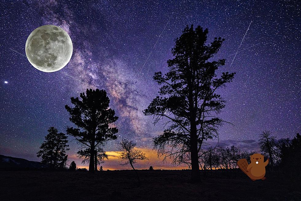 Hey, Washington, Get Ready for a Full Beaver Moon and Other Cosmic Events in November