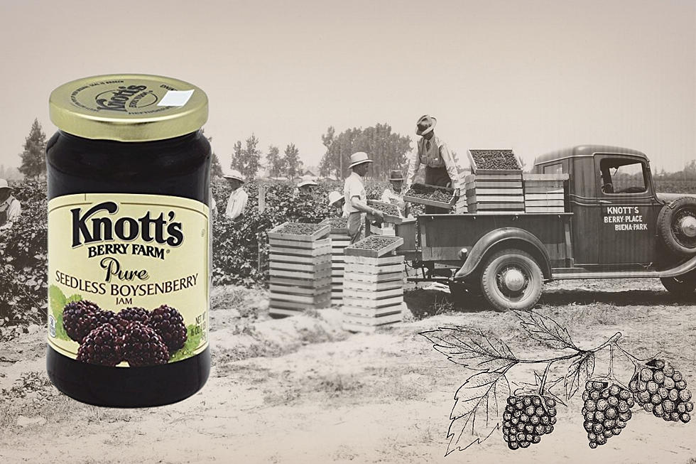 Knott's Berry Jams Suddenly Vanish, But Their Memory Remains