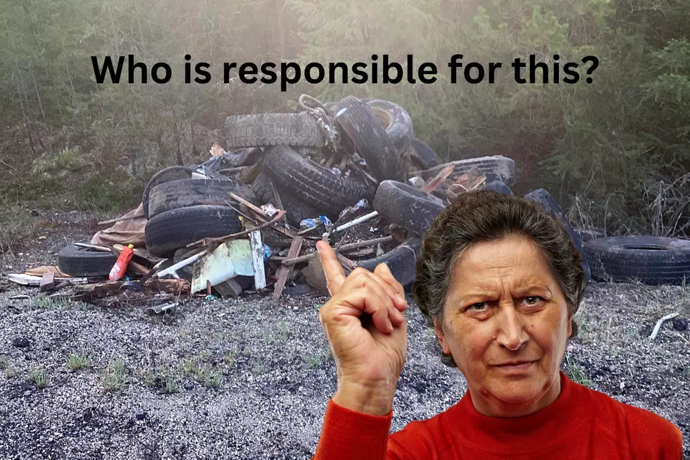 Illegally Dumping Garbage In WA: What Is The Fine?