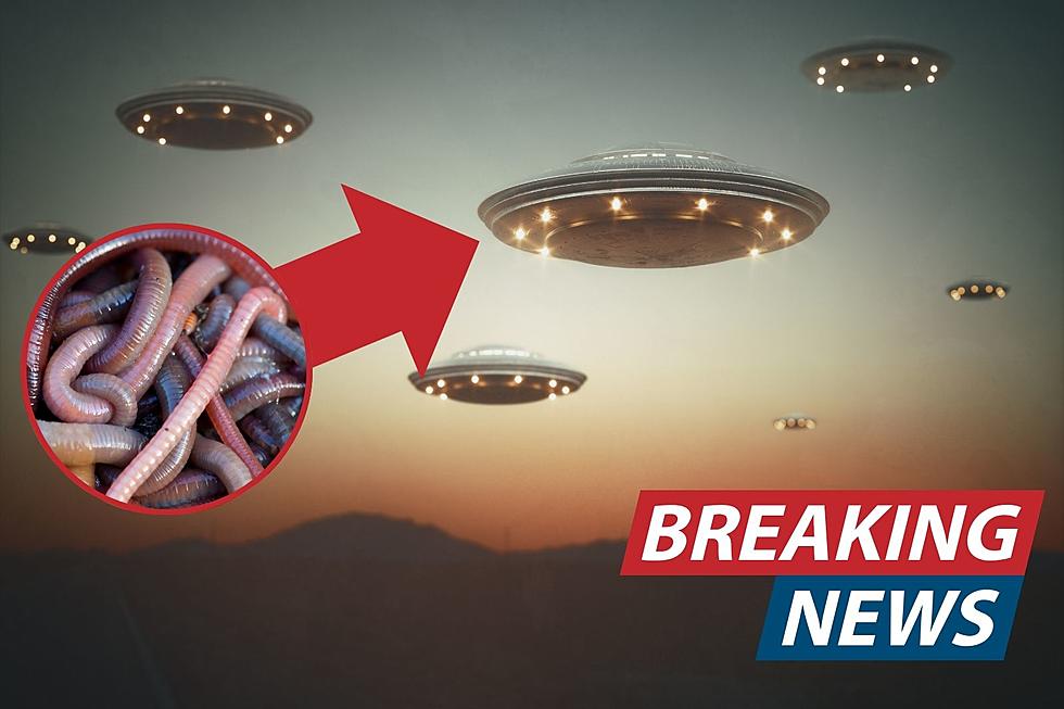 Alien Worms Invade Arizona