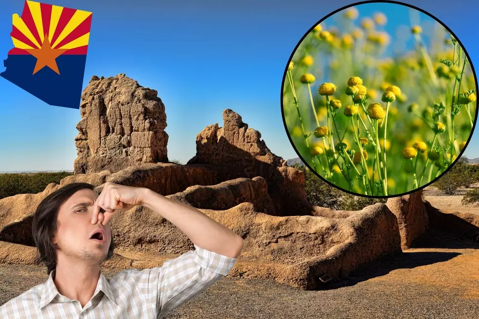The Plant Closing Arizona's Parks