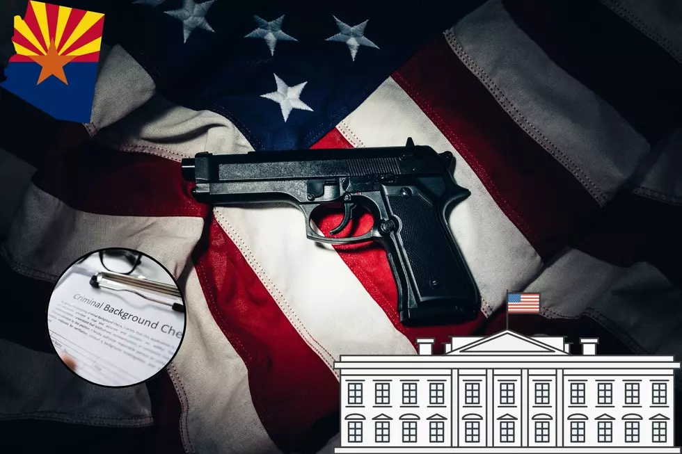 The U.S.'s New Gun Rule : How It Affects Arizona