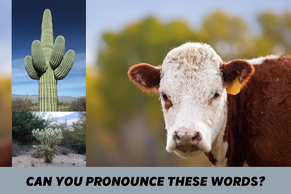 How Many Arizona Place Names Can YOU Pronounce?