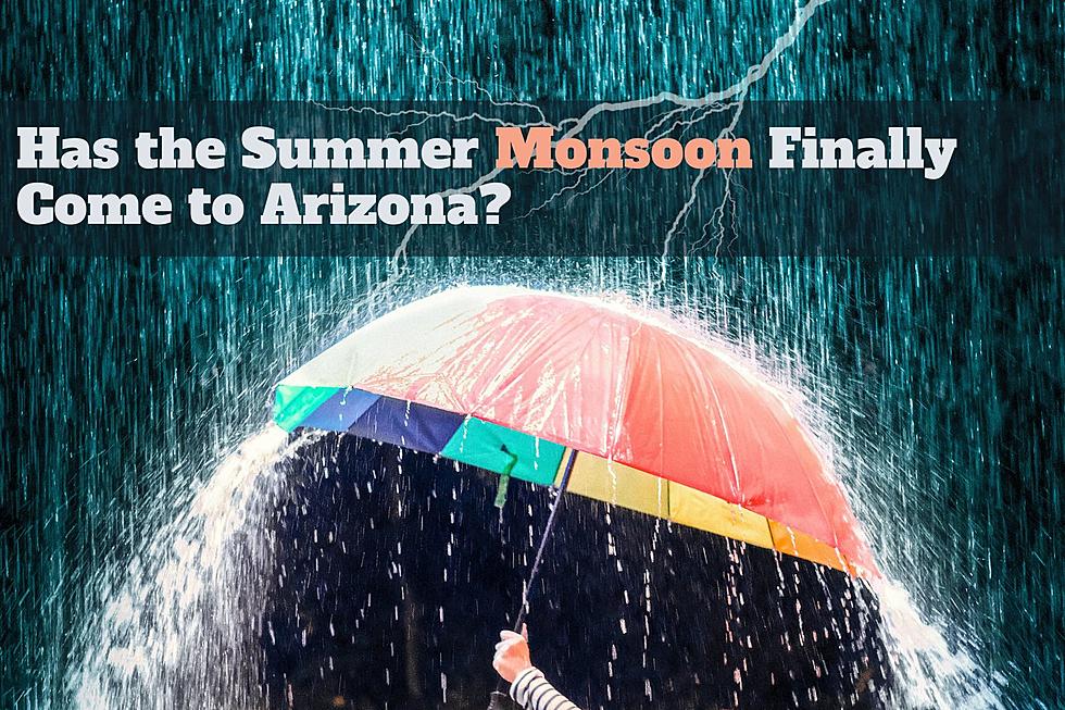 El Niño, Climate Change, + Crazy Weather! Has the Monsoon Come to Arizona?