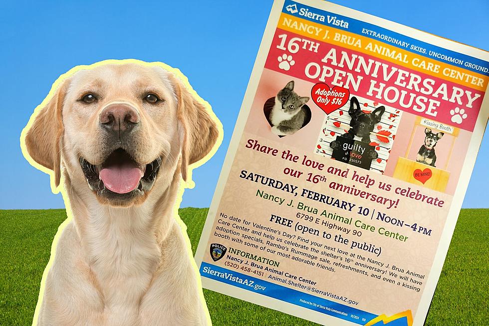 Don’t Miss This Amazing Event at the Sierra Vista Animal Shelter!
