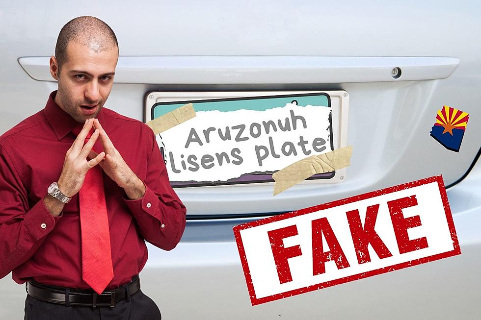 Fake License Plates in Arizona: Not Worth the Risk