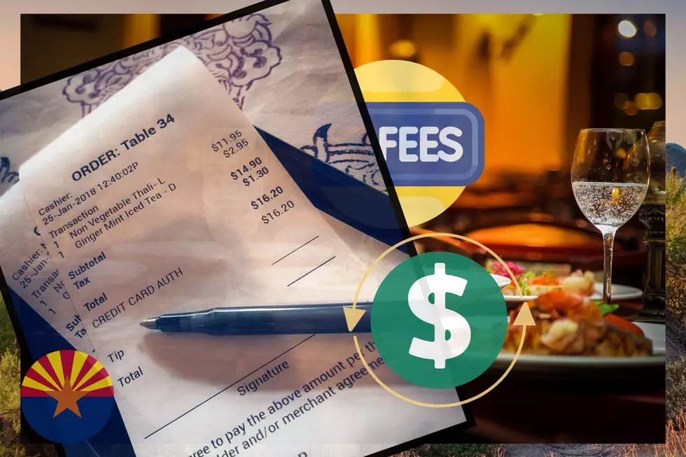Ridiculous Surcharges Are Adding Outrage to Arizona’s Bottom Line